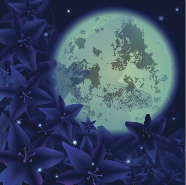 晚上花图片下载