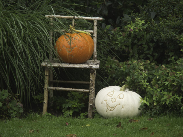 科雷比塞图片下载