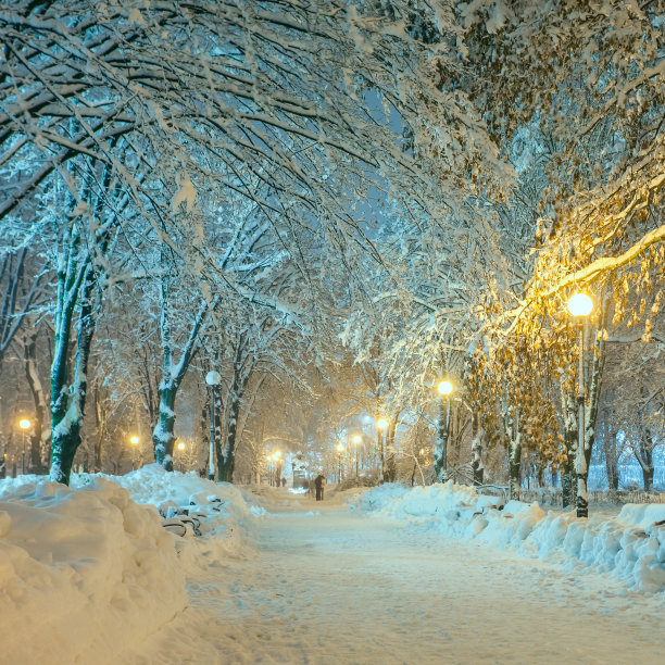 冬天的城市公园图片下载