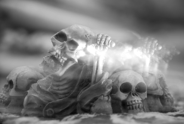 静物画图片下载