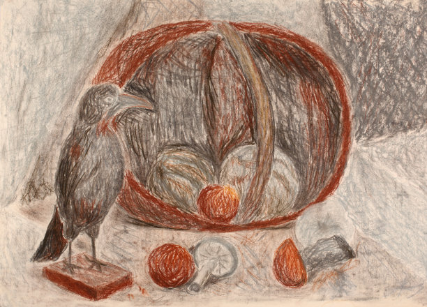 深褐色粉笔画的鸟和蘑菇图片下载