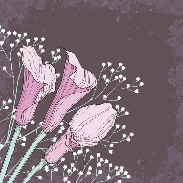 优雅的花背景与马蹄莲花图片下载