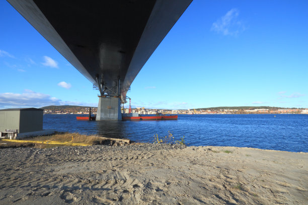 桥蛙视野图片下载