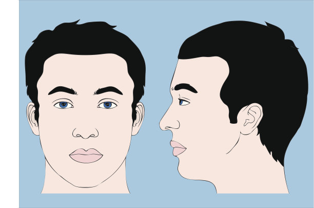 人的头部，正面和左侧图片下载