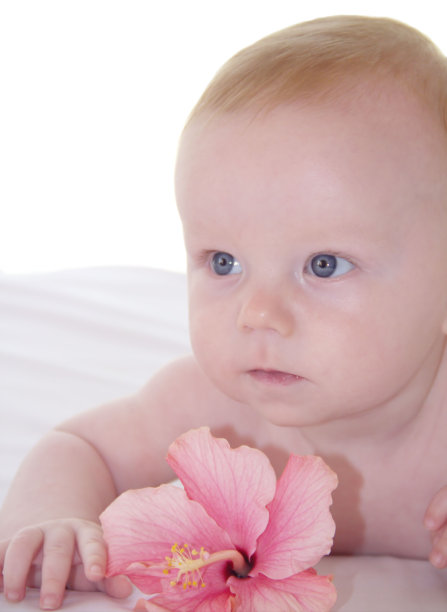 可爱的小花宝宝图片下载