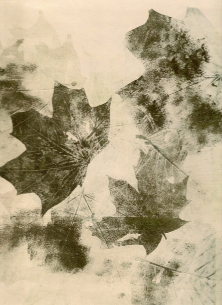 秋叶拼贴背景图片下载