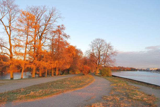 圣彼得堡。日落时分的秋天公园图片下载