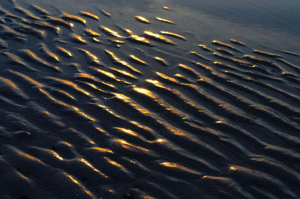 日出时沙滩上泛起阵阵涟漪图片下载
