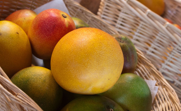 篮子的芒果图片下载