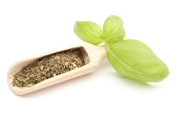 新鲜的罗勒木勺和绿叶。白色背景图片下载