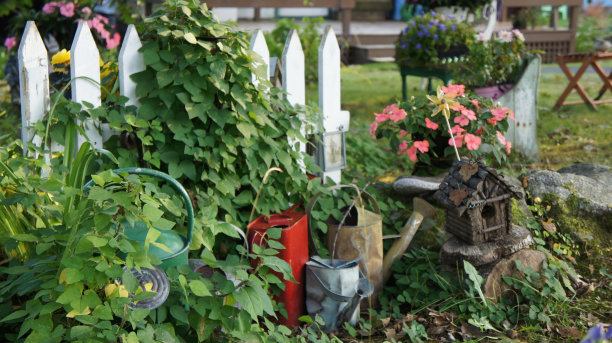 迷你花园图片下载
