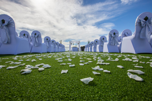 屋顶上的婚礼场景图片下载