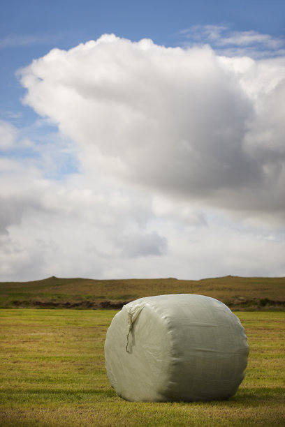 冰岛。西方峡湾。包装谷物的牧场。图片下载