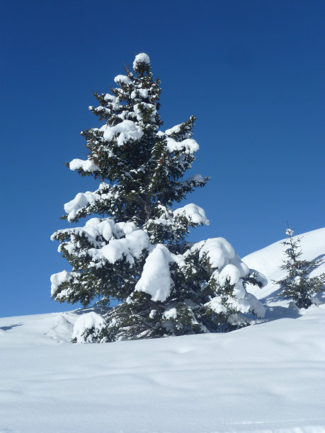 冬天的阿尔卑斯山——07年图片下载