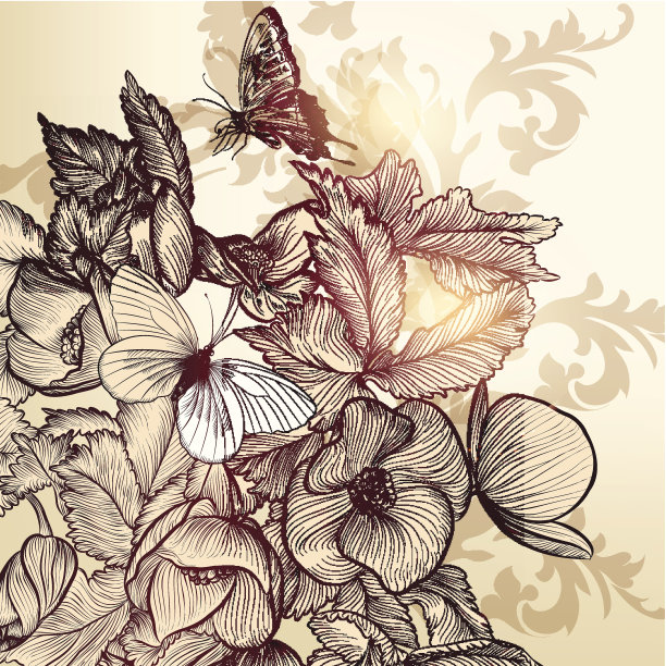 花卉矢量设计与手绘花和蝴蝶素材图片