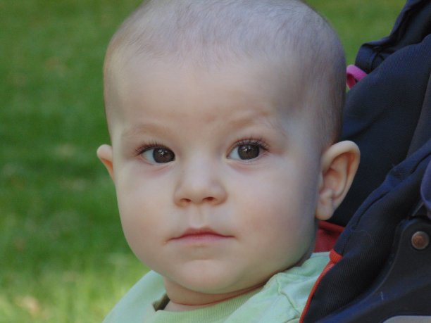 公园里的小男孩图片下载