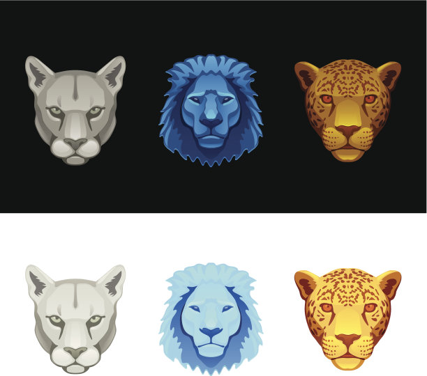 大猫，狮子，美洲狮，美洲虎图片下载