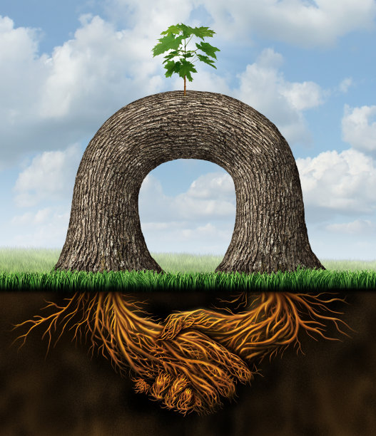 伙伴关系的力量图片下载