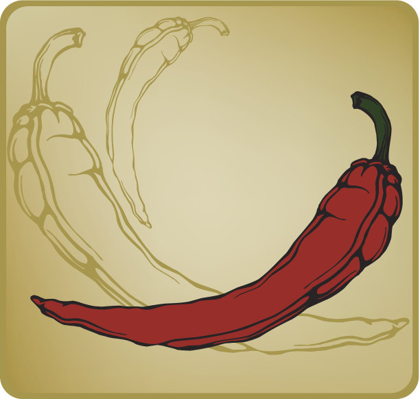 红辣椒。矢量插图。图片下载