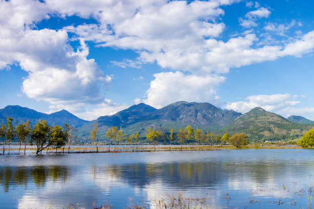 秋天的湿地图片下载
