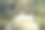 禅意花园图片下载