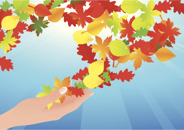 秋叶在人的手中图片下载