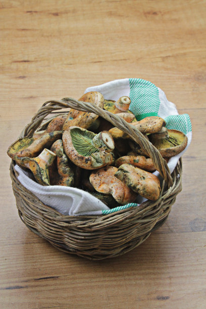 篮子里的蘑菇图片下载