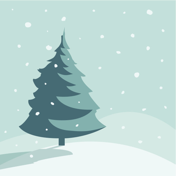 孤独的冷杉树。图片下载