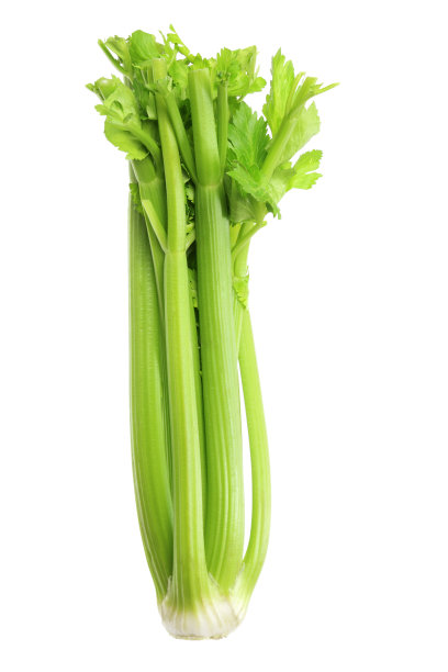 芹菜素材图片