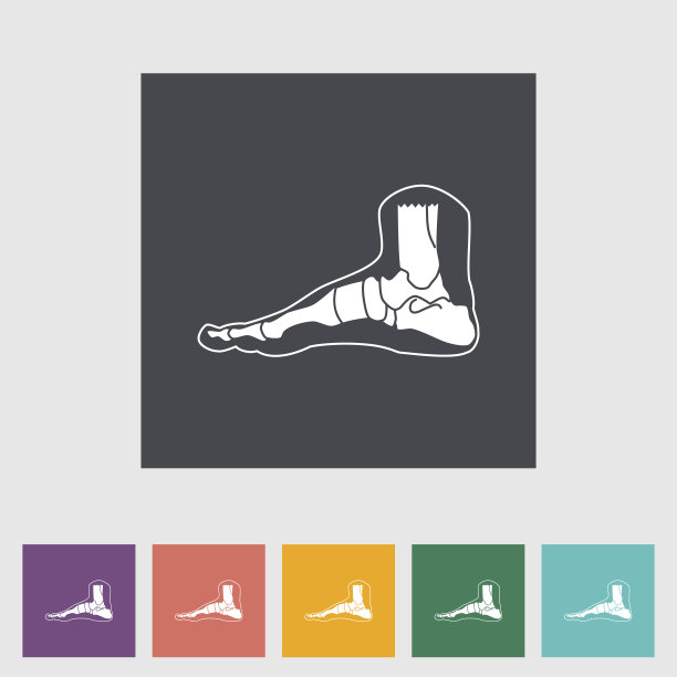 脚解剖平面图标。图片下载