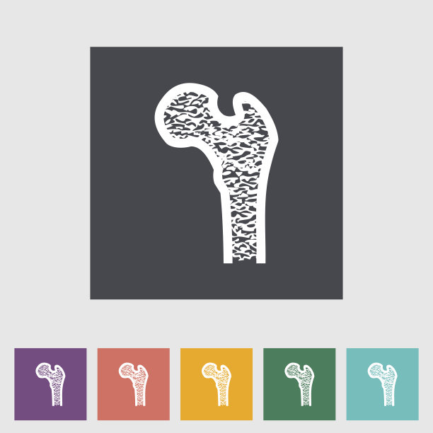 骨平面图标。图片下载