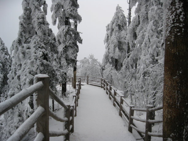雪覆盖的途径图片下载