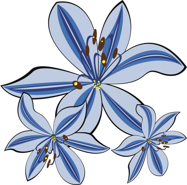 蓝色载体百合孤立在白色背景图片下载