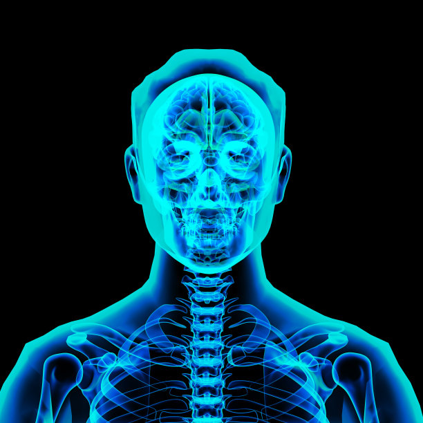 3d渲染图-男性大脑图片下载