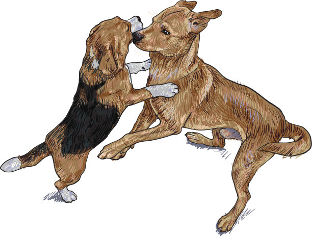 两只狗的游戏图片下载