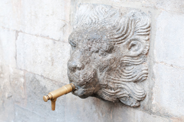 源狮子的头图片下载