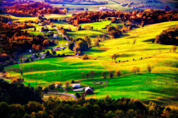 秋天的到来图片下载