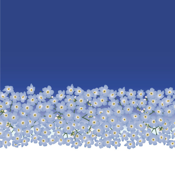 花朵无缝边框纹理。图片下载