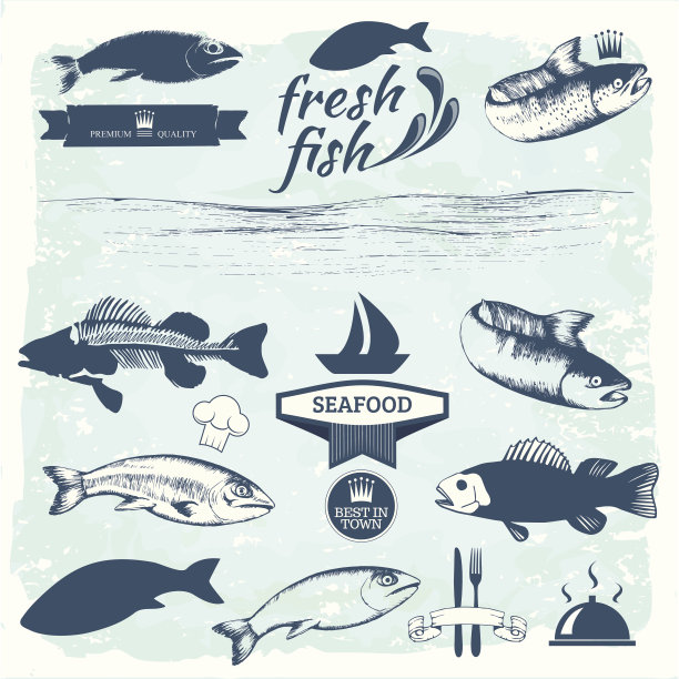 海鲜标签、鱼包装设计、钓鱼标志等元素图片下载