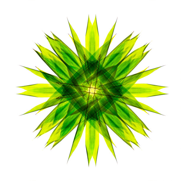 花图案与竹叶图片下载