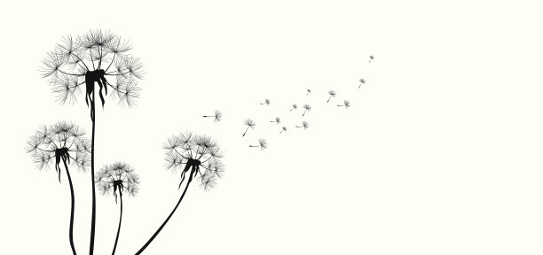 蒲公英为您设计图片下载