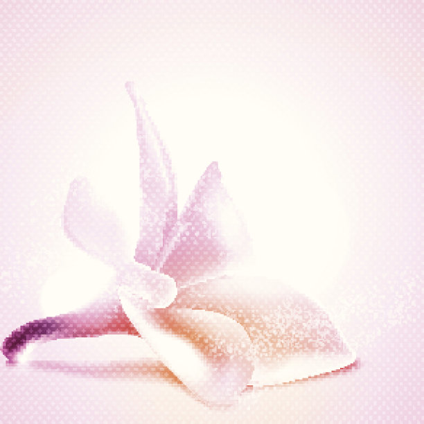 问候或邀请卡片模板与木兰花。矢量插图。图片下载