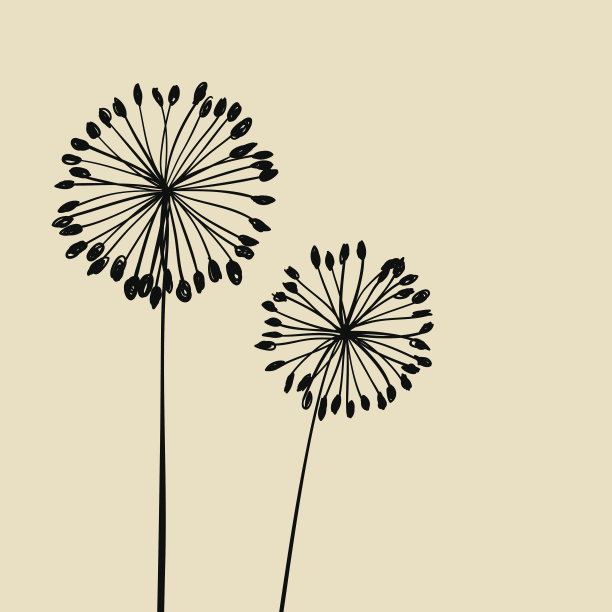 文摘Dandalions背景图片下载