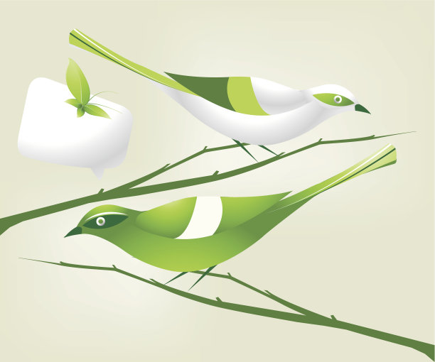 绿色的鸟图片下载