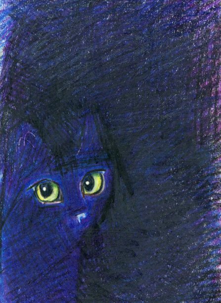 黑猫在黑暗的房间里图片下载