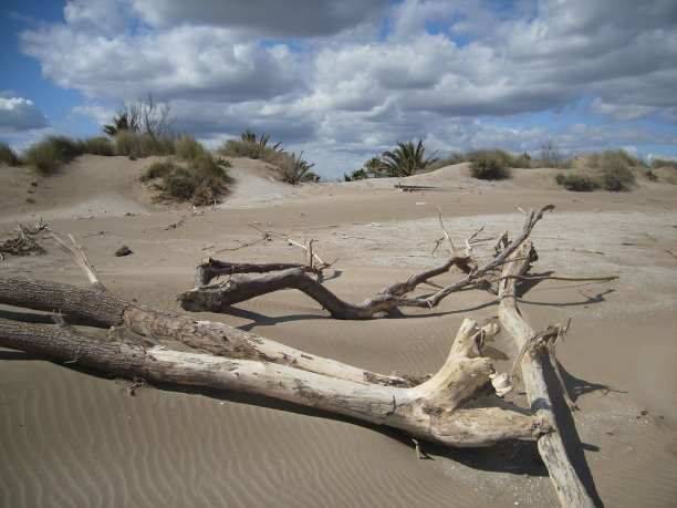 科斯塔布拉瓦图片下载