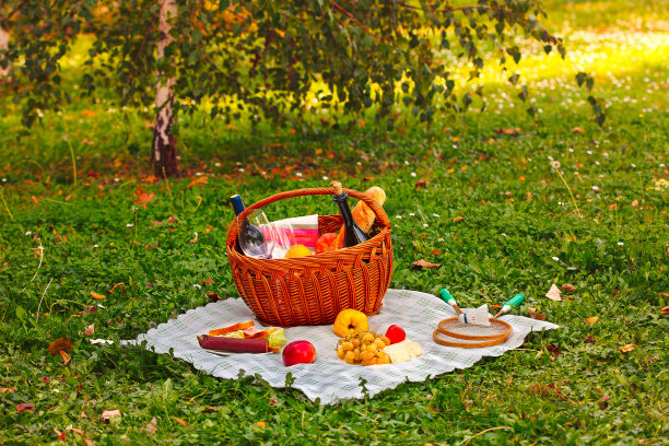 装着食物和酒的野餐篮图片下载