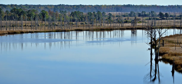卡罗来纳海岸河景图片下载