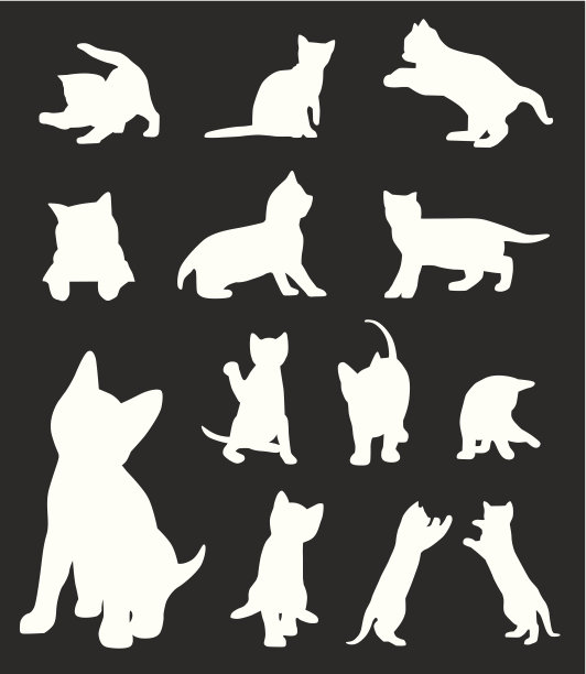 猫集合图片下载