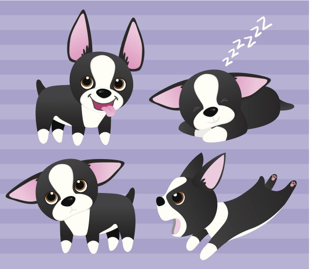 波士顿梗犬小狗图片下载